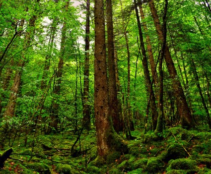世界体能恢复公益课堂乡镇示范点第五批授牌完成，世界体能大赛